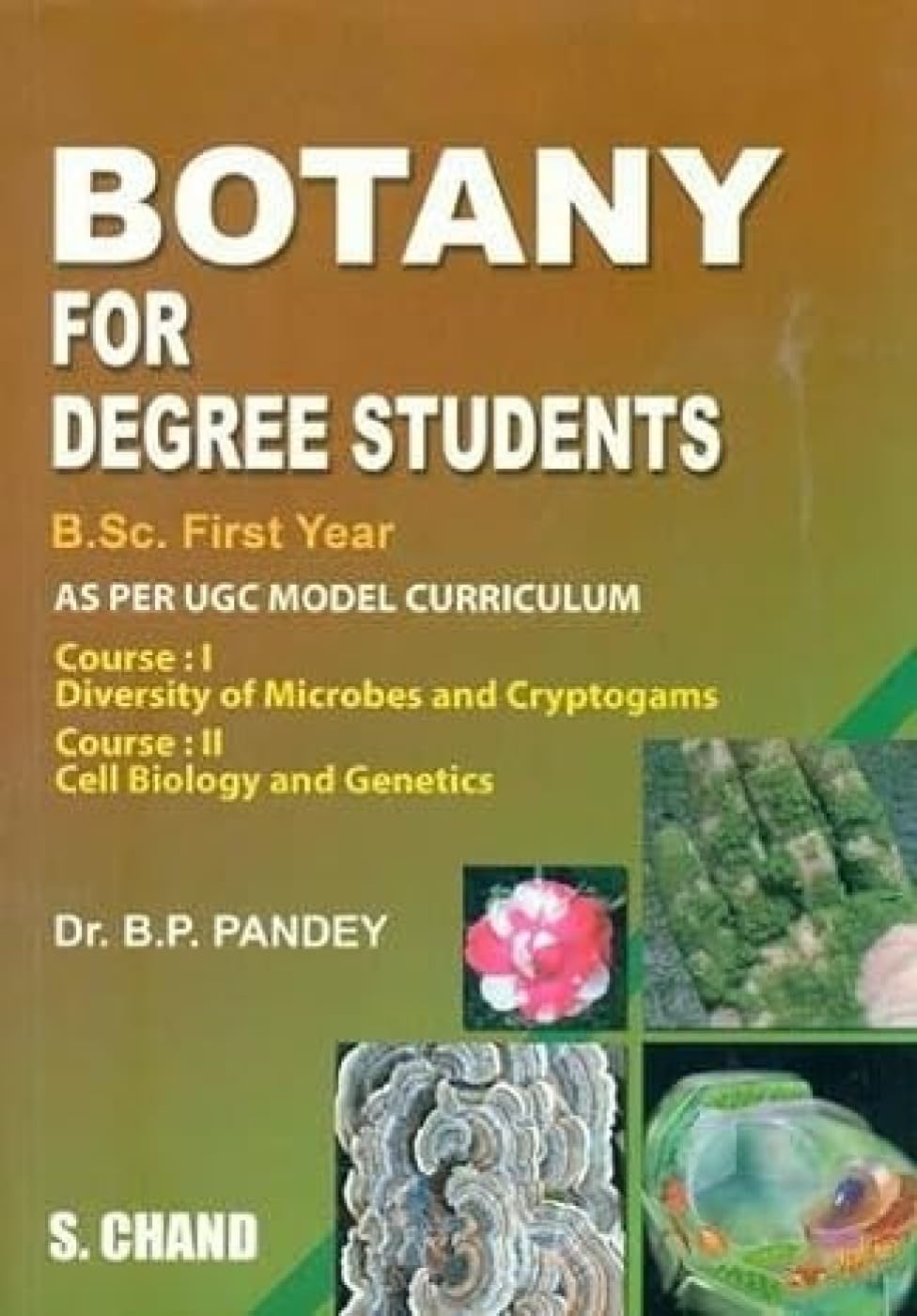 BSc 1st Year Botany Notes: Free Download PDF (2026)