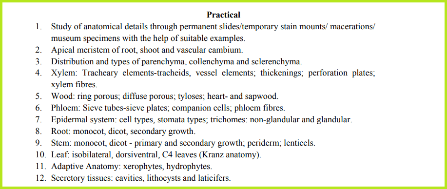 BSc Botany Syllabus: 1st, 2nd & 3rd Year (PDF) - 2025 Edition BSc Anatomy of Angiosperms Practical List: : Botany Syllabus