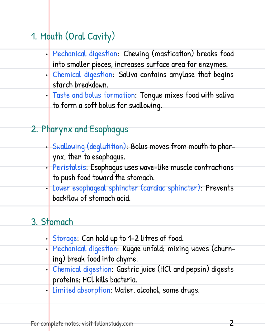 Preview Page 2