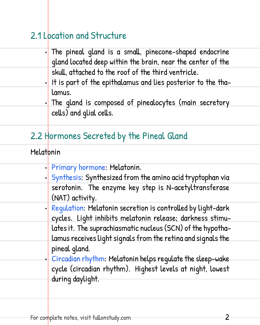 The Endocrine system Preview Page 2