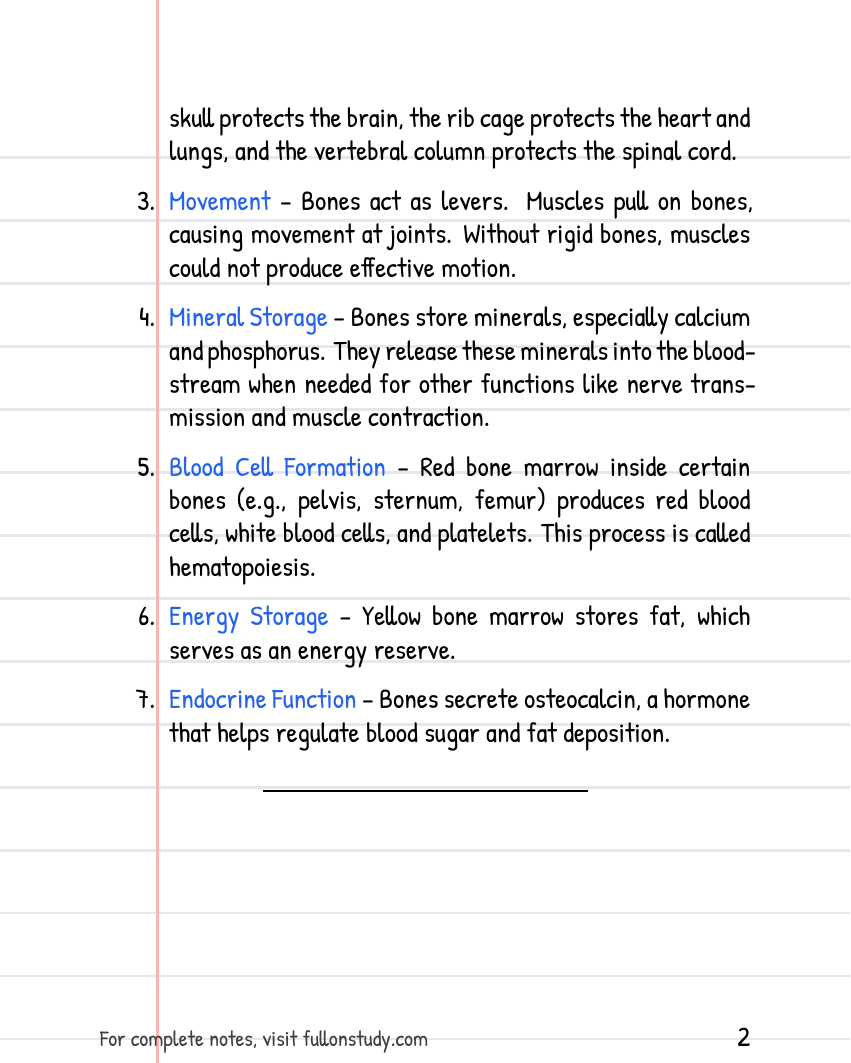 Musculoskeletal system Preview Page 2