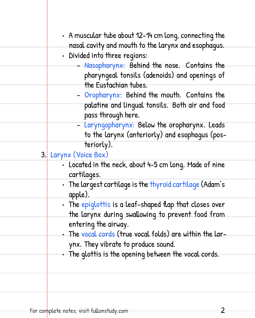 Preview Page 2