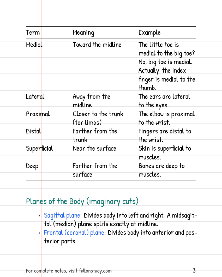 Preview Page 3