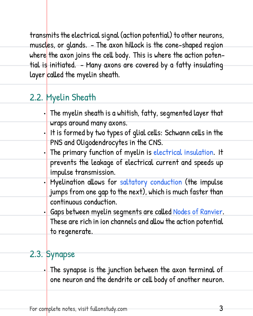 Preview Page 3