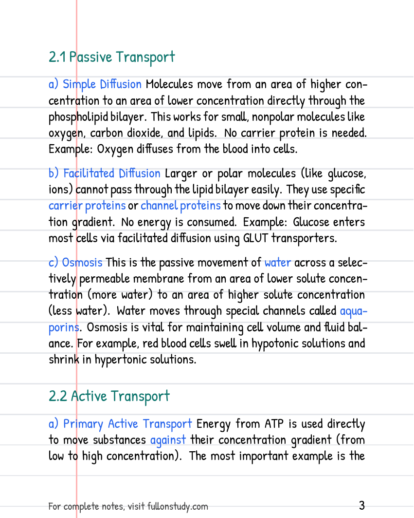 Preview Page 3