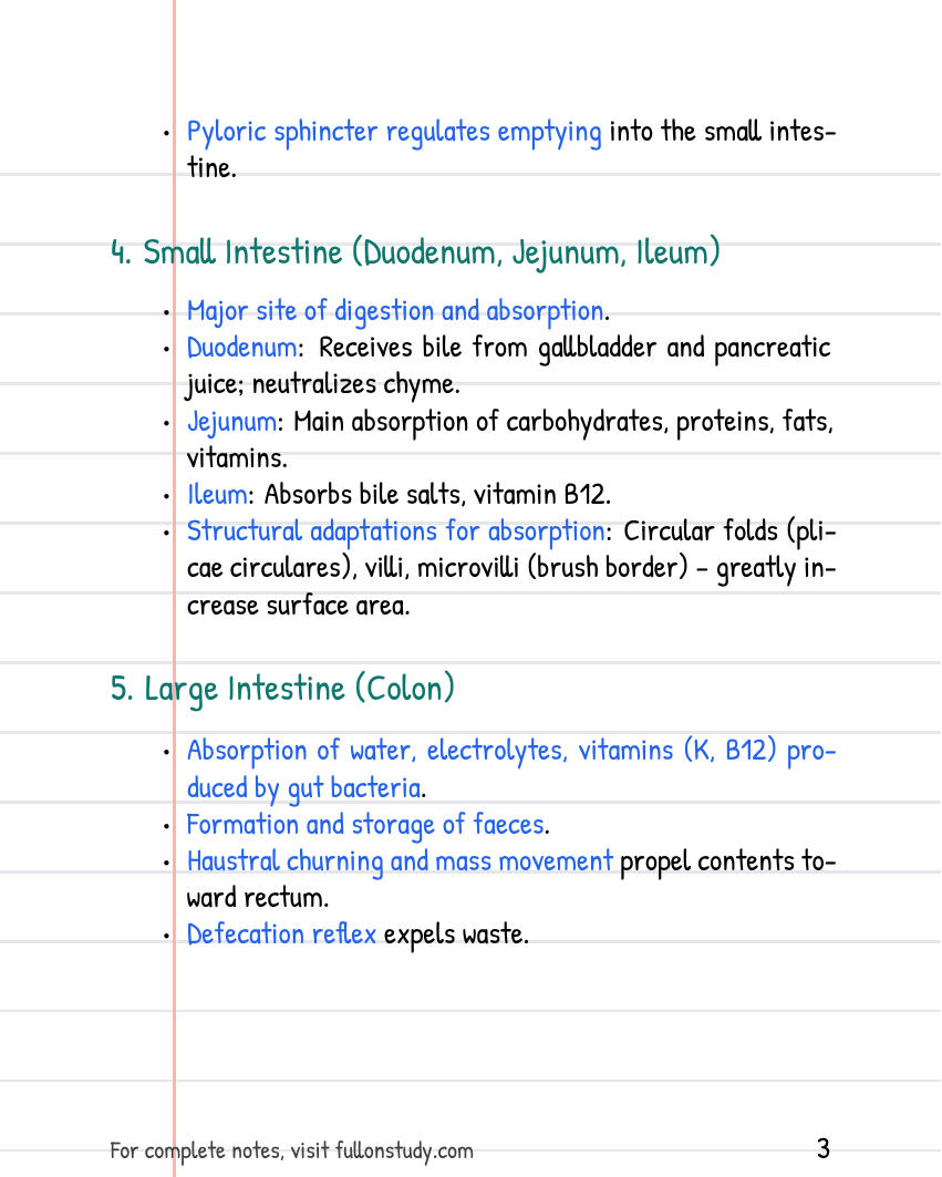 Preview Page 3
