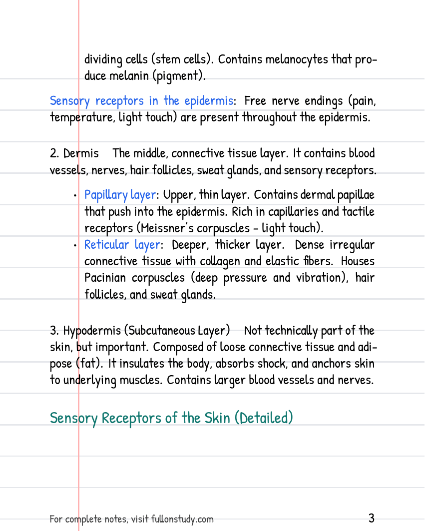 Preview Page 3