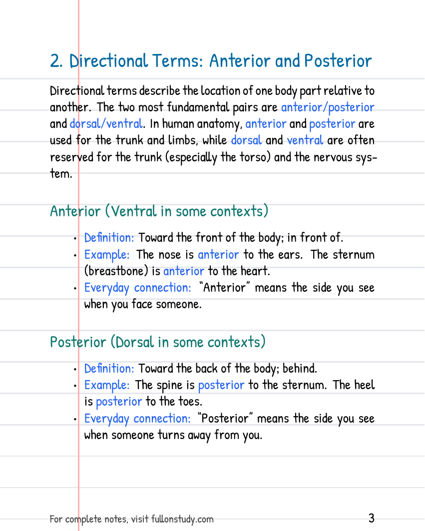 Preview Page 3