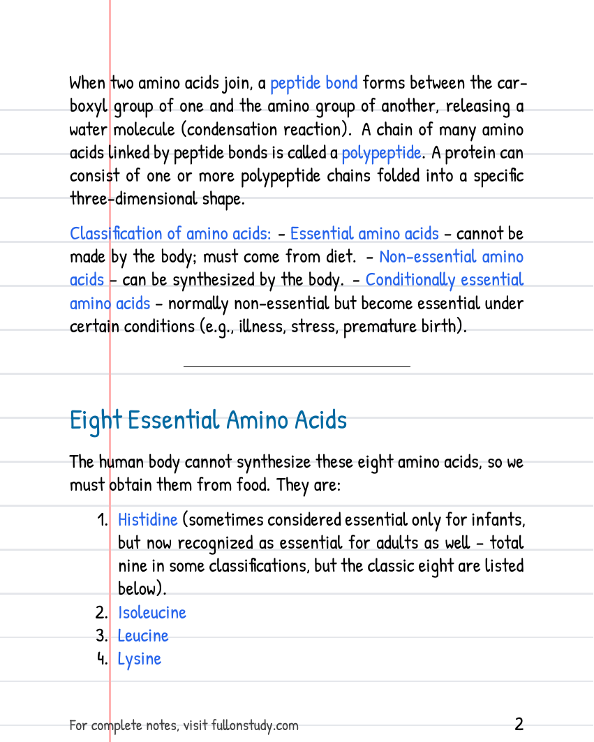 Proteins Preview Page 2