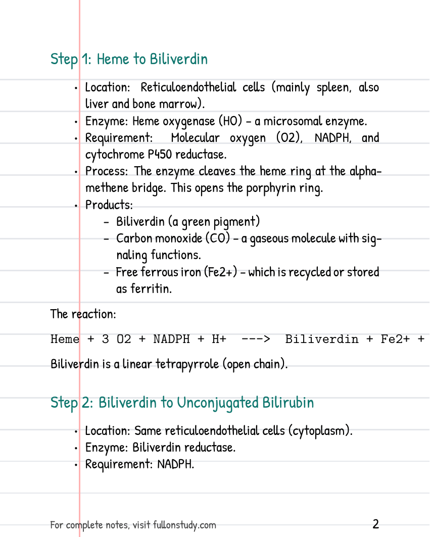 Heme Catabolism Preview Page 2