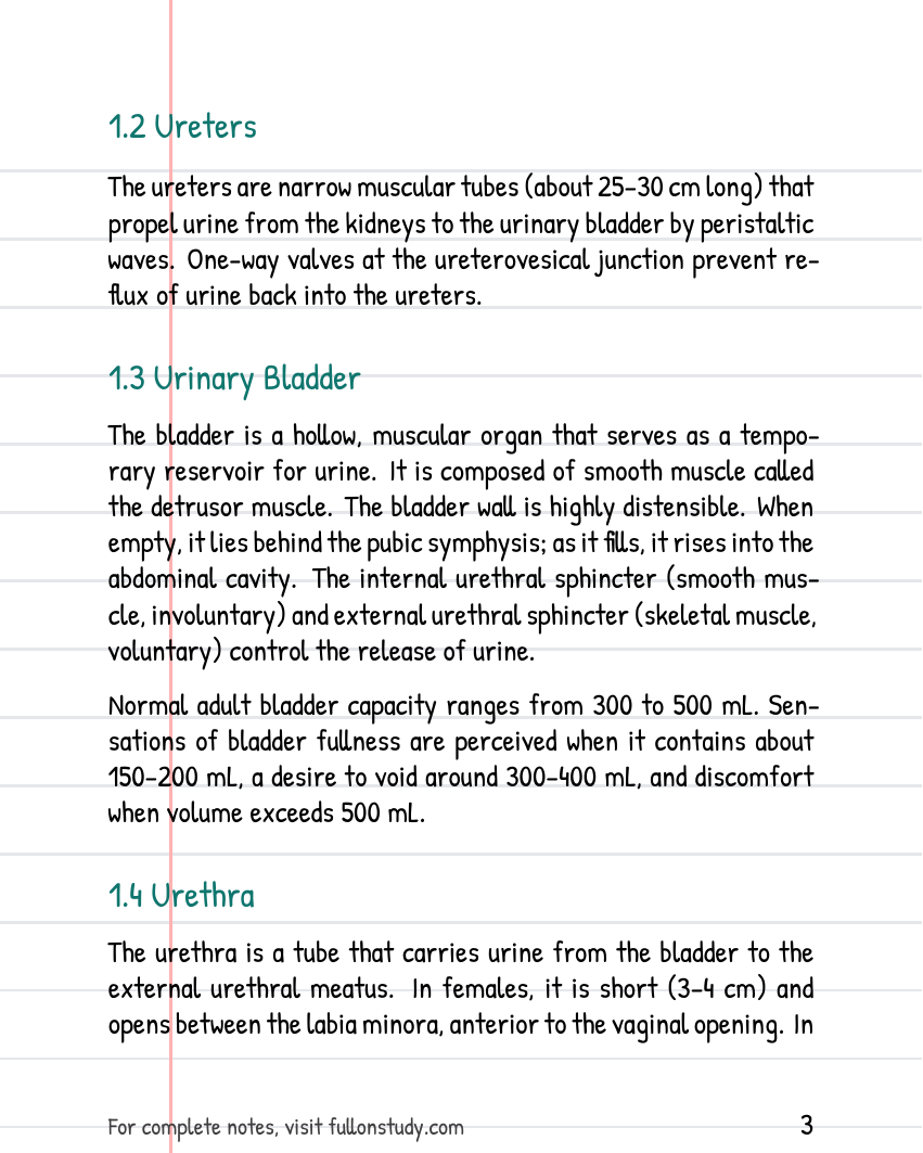 Preview Page 3