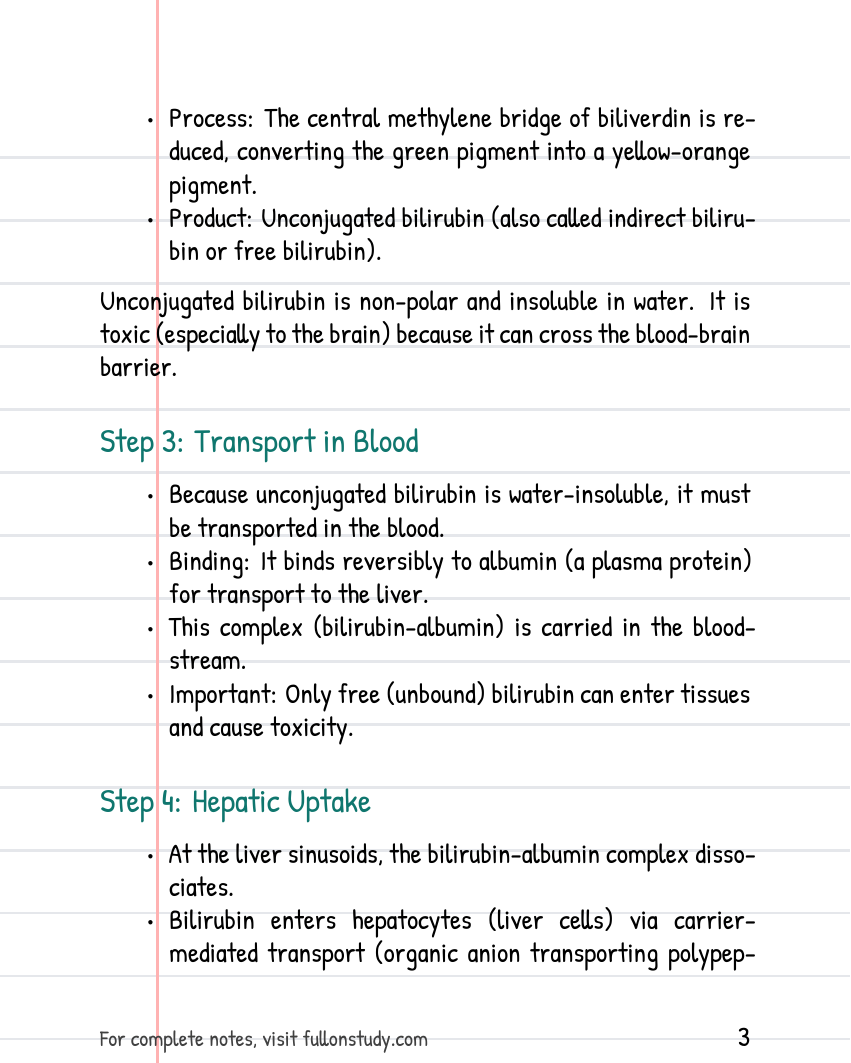 Heme Catabolism Preview Page 3