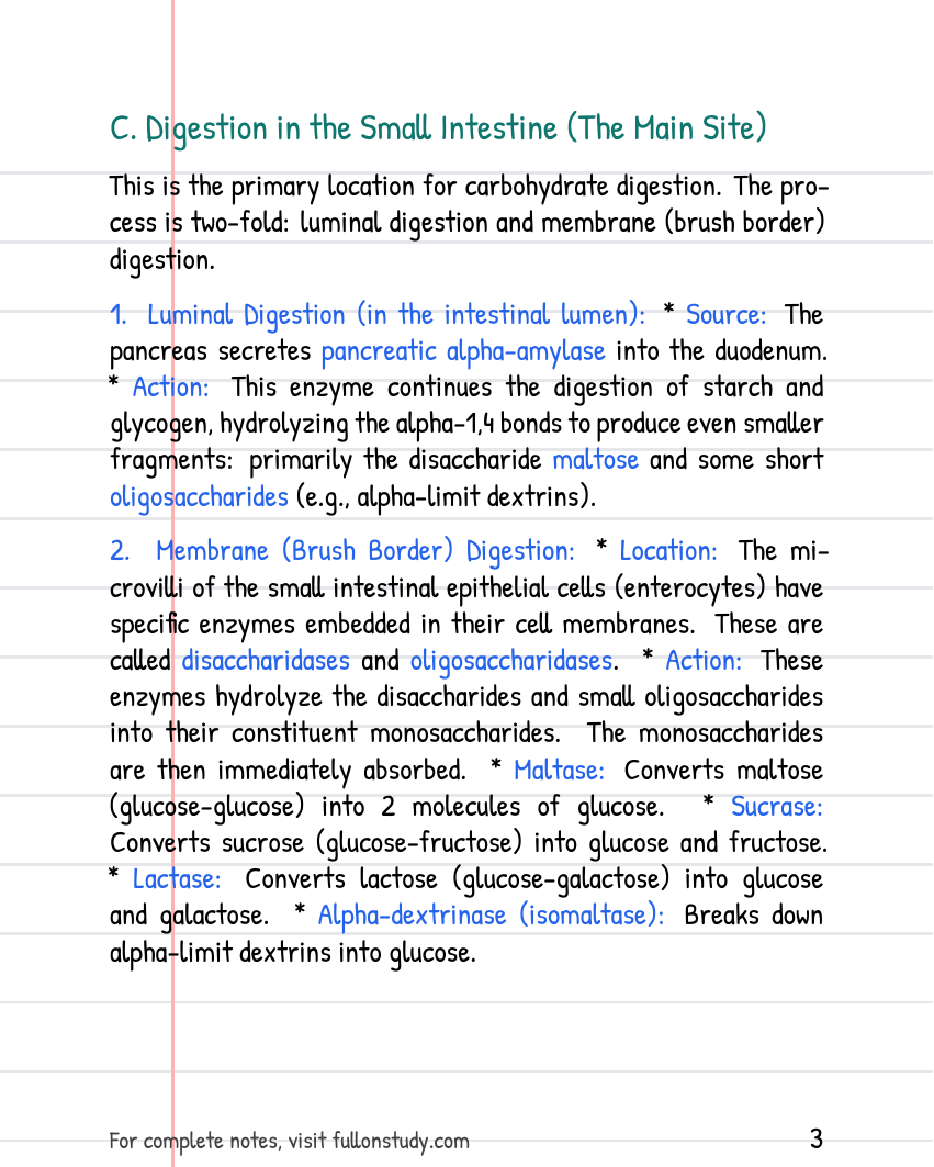 Preview Page 3