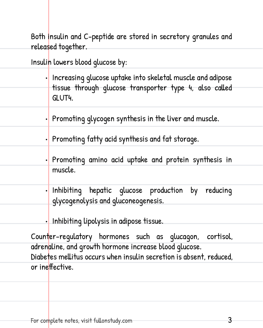 Endocrine System Disorders Drugs Preview Page 3