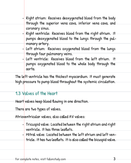 Preview Page 3