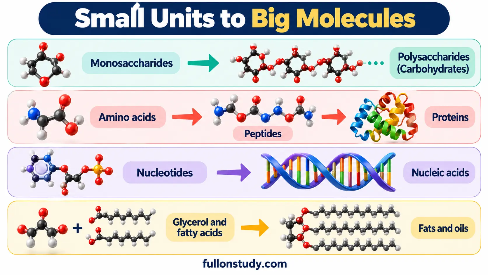 BSc 3rd Year Chemistry Notes (Sem V & VI) Small Units to Big Molecules